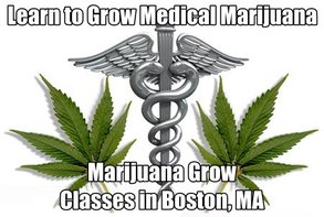 Marijuana grow classes in Boston